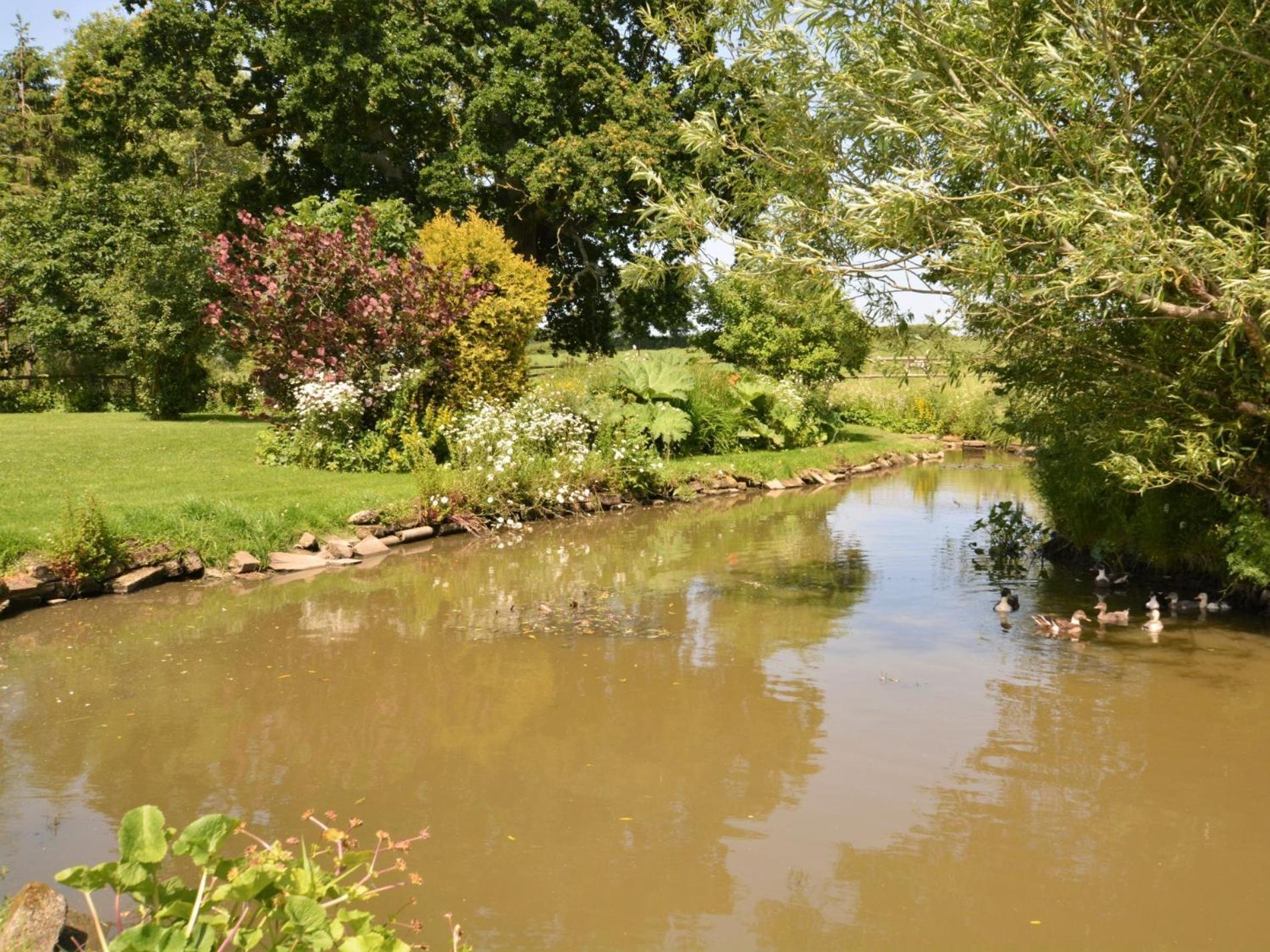 3 Bed In Sherborne Cowob Villa Haselbury Bryan Exterior photo